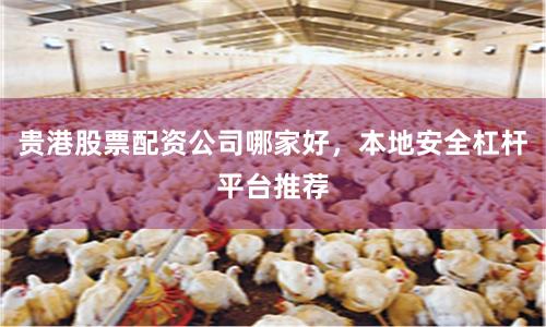 贵港股票配资公司哪家好，本地安全杠杆平台推荐