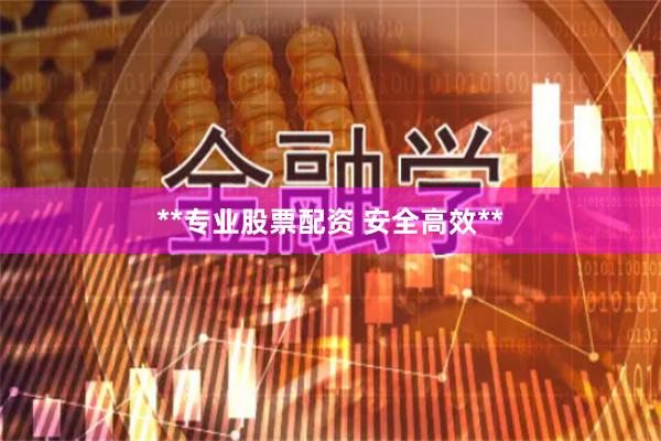 **专业股票配资 安全高效**